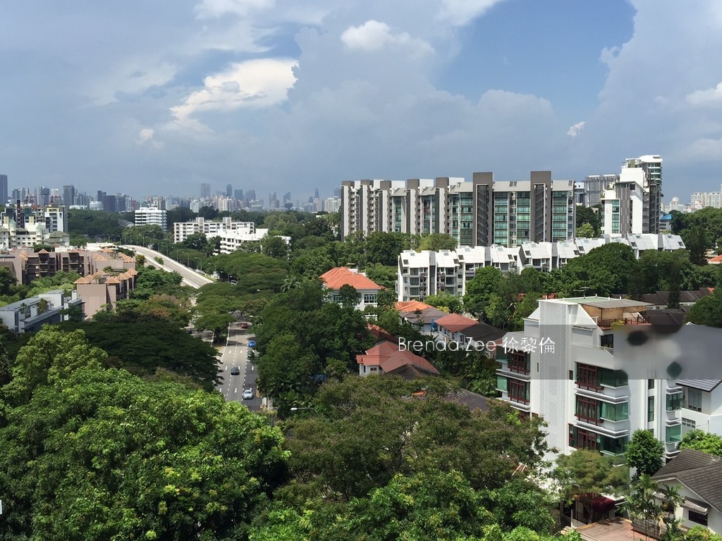Jade Mansion (D10), Condominium #146603102